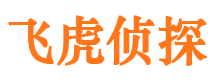 辽中市侦探公司